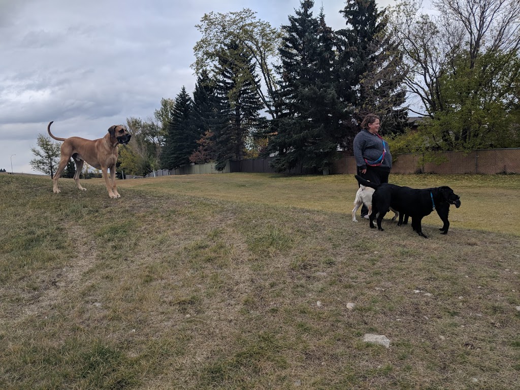 Playground | 5837 Dalcastle Crescent NW, Calgary, AB T3A 1R7, Canada | Phone: (403) 268-2489