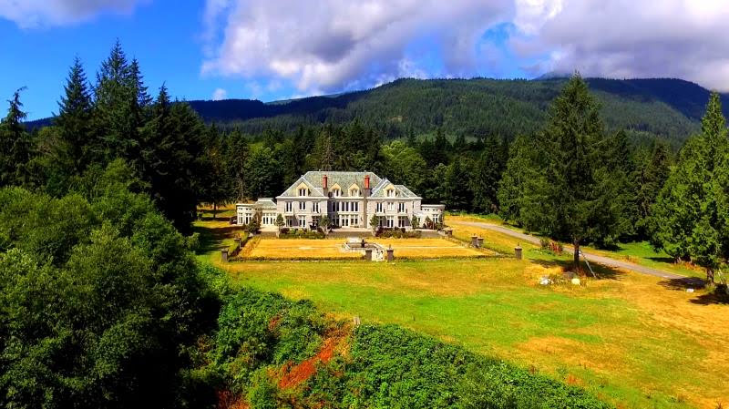 No Pawblems K9 Camp & Cathouse | 277 Parker Rd, Gibsons, BC V0N 1V1, Canada | Phone: (604) 886-8659