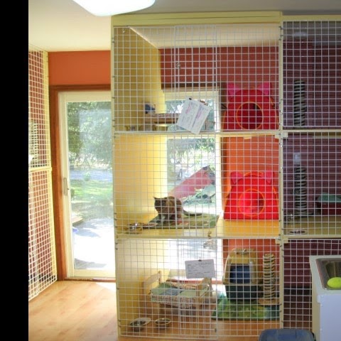 Cats Castle Cat Hotel | 1354 Bronte Rd, Oakville, ON L6M 4G4, Canada | Phone: (905) 847-7770