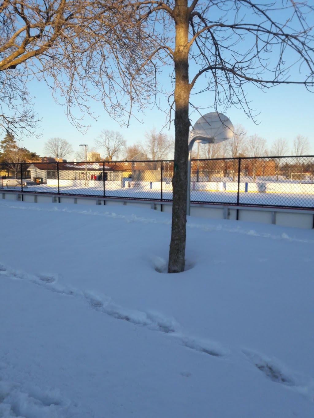 Bayshore Public School | 145 Woodridge Crescent, Nepean, ON K2B 7T2, Canada | Phone: (613) 828-8698