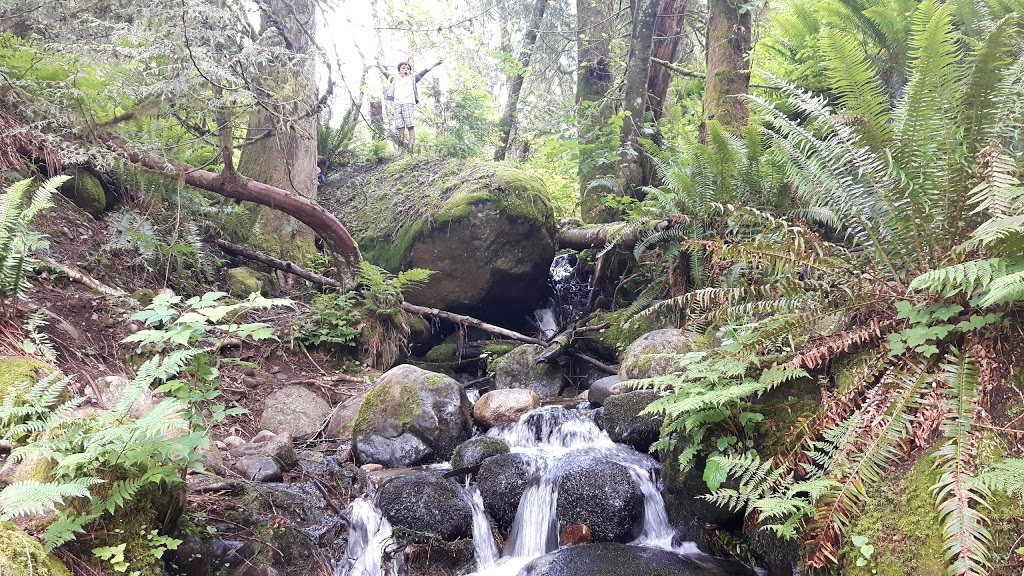 Crystal Falls - Trailhead | 3240 Karley Crescent, Coquitlam, BC V3E 3E9, Canada