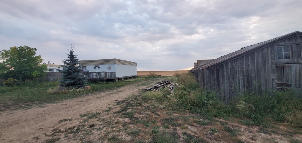The Pope Lease Pines | Range Rd 221 & Hwy 575, Drumheller, AB T0J 0Y0, Canada | Phone: (403) 823-8281
