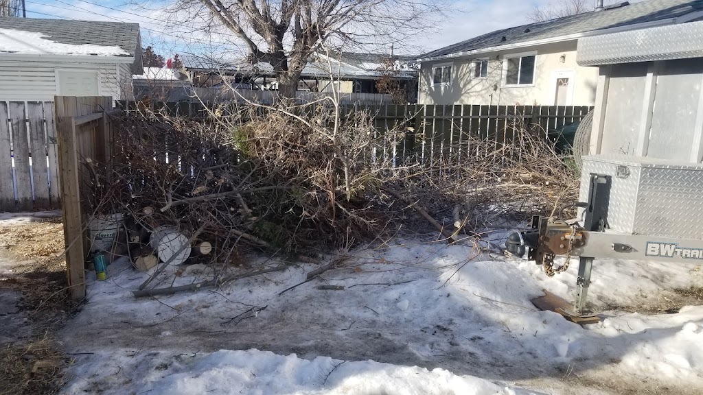AAR Hauling Services (Junk Removal) | 26 Ave SE, Calgary, AB T2B 2K4, Canada | Phone: (587) 435-7392