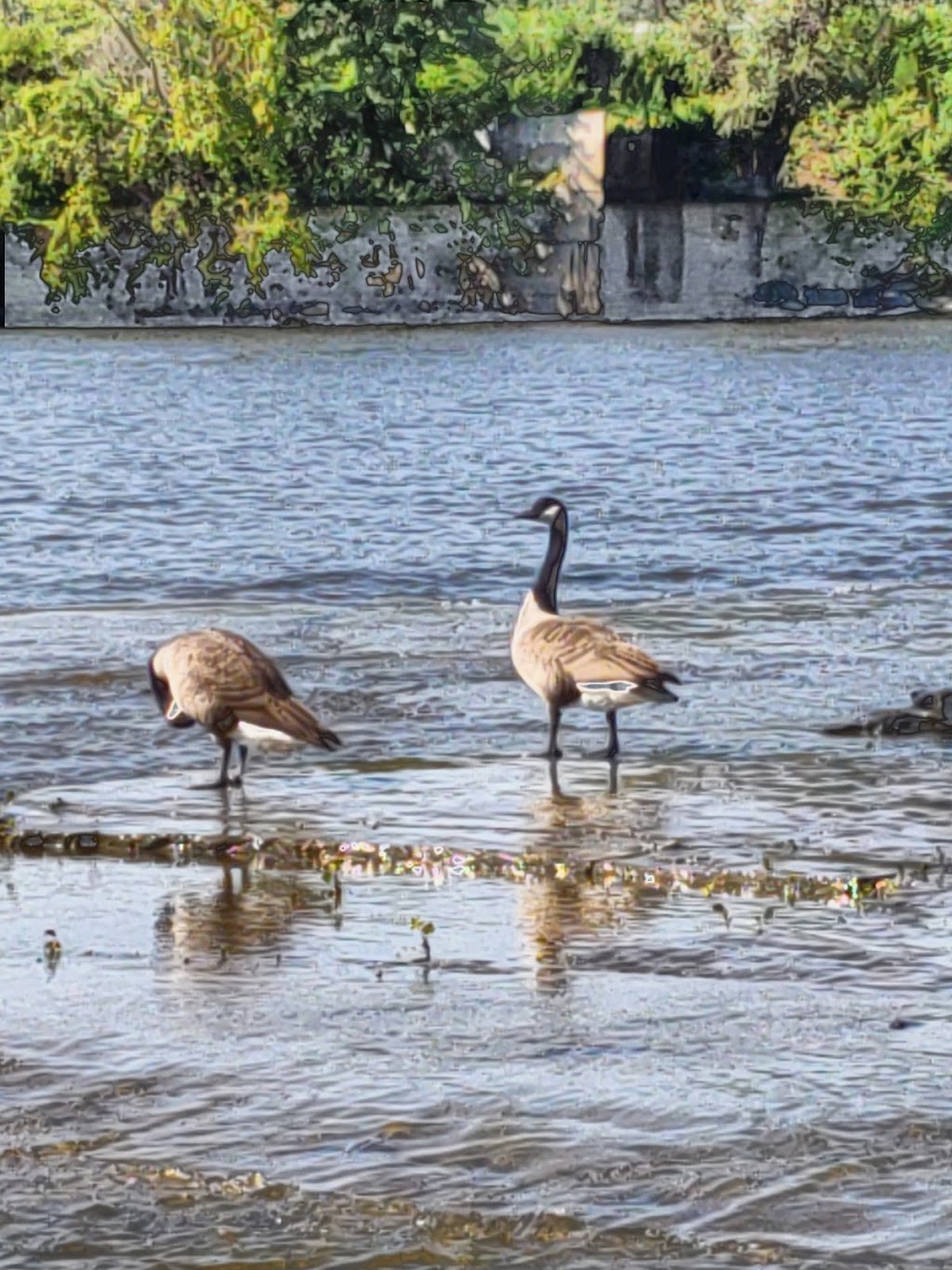 Visitation Nature Park | 11062 Avenue Wilfrid St Louis, Montréal-Nord, QC H1H 5K7, Canada | Phone: (514) 280-6767