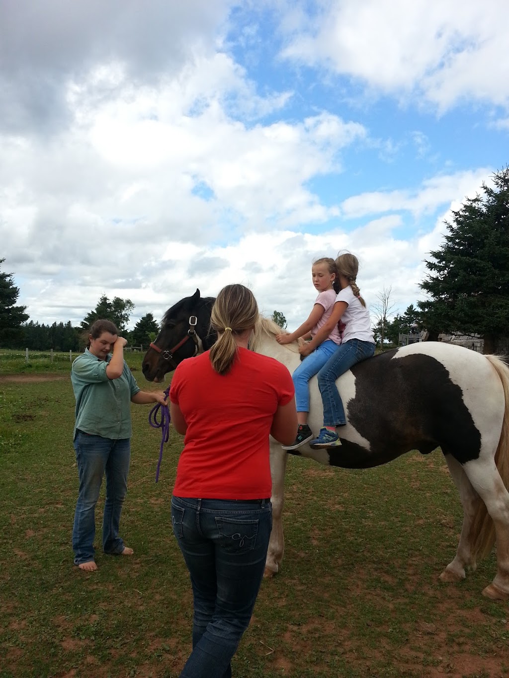 Springwater Farm | 697 Dundas Rd, Saint Peters Bay, PE C0A 2A0, Canada | Phone: (902) 583-2340