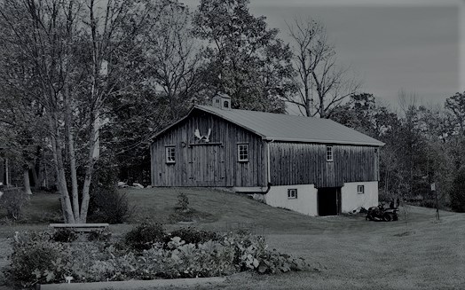 Purple Haven | 6834 ON-3, Canfield, ON N0A 1C0, Canada | Phone: (905) 701-1156