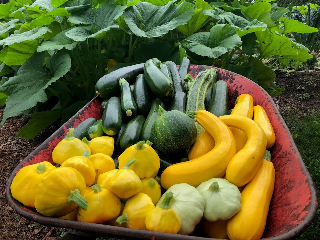 East Ridge Farms | 11924 267 St, Maple Ridge, BC V2W 1N9, Canada | Phone: (778) 839-7066