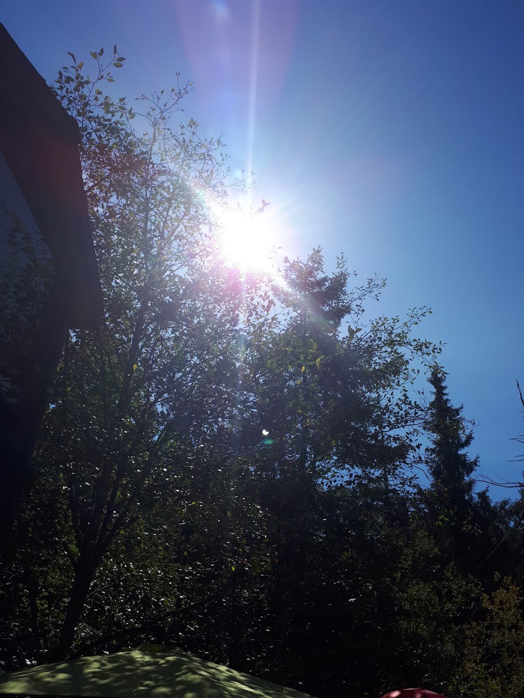 Singing Bird Farm | 1570 N End Rd, Salt Spring Island, BC V8K 1C6, Canada | Phone: (250) 537-5478
