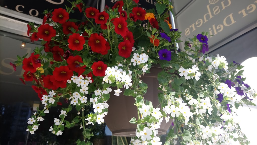 Petal Pushers Florist | 7236 Linden Ave, Burnaby, BC V5E 3G6, Canada | Phone: (604) 515-8800