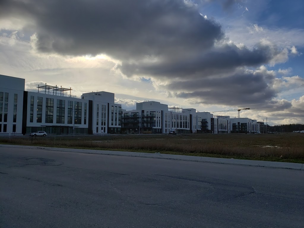 Friday Harbour | 25th Side Rd, Innisfil, ON L9S 2J1, Canada | Phone: (833) 812-8880
