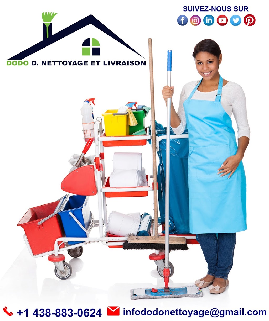 Dodo Déménagement Nettoyage et Livraison | 11300 Bd Langelier Local 6, Montréal-Nord, QC H1G 6H9, Canada | Phone: (438) 883-0624