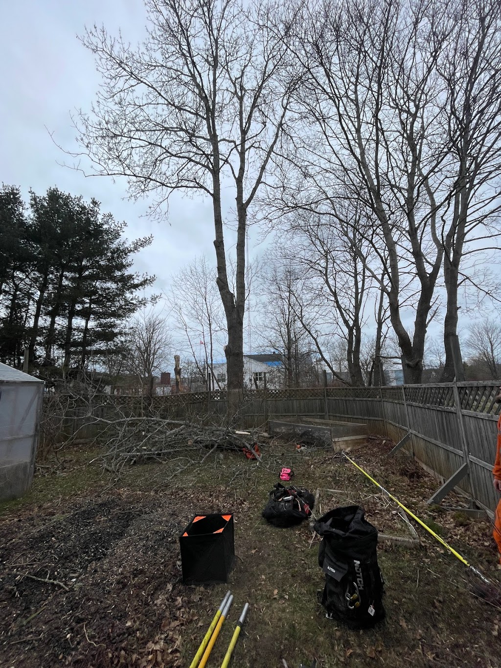 Indie Tree Service | 9717 Nova Scotia Trunk 10, Nictaux, NS B0S 1P0, Canada | Phone: (902) 840-3020