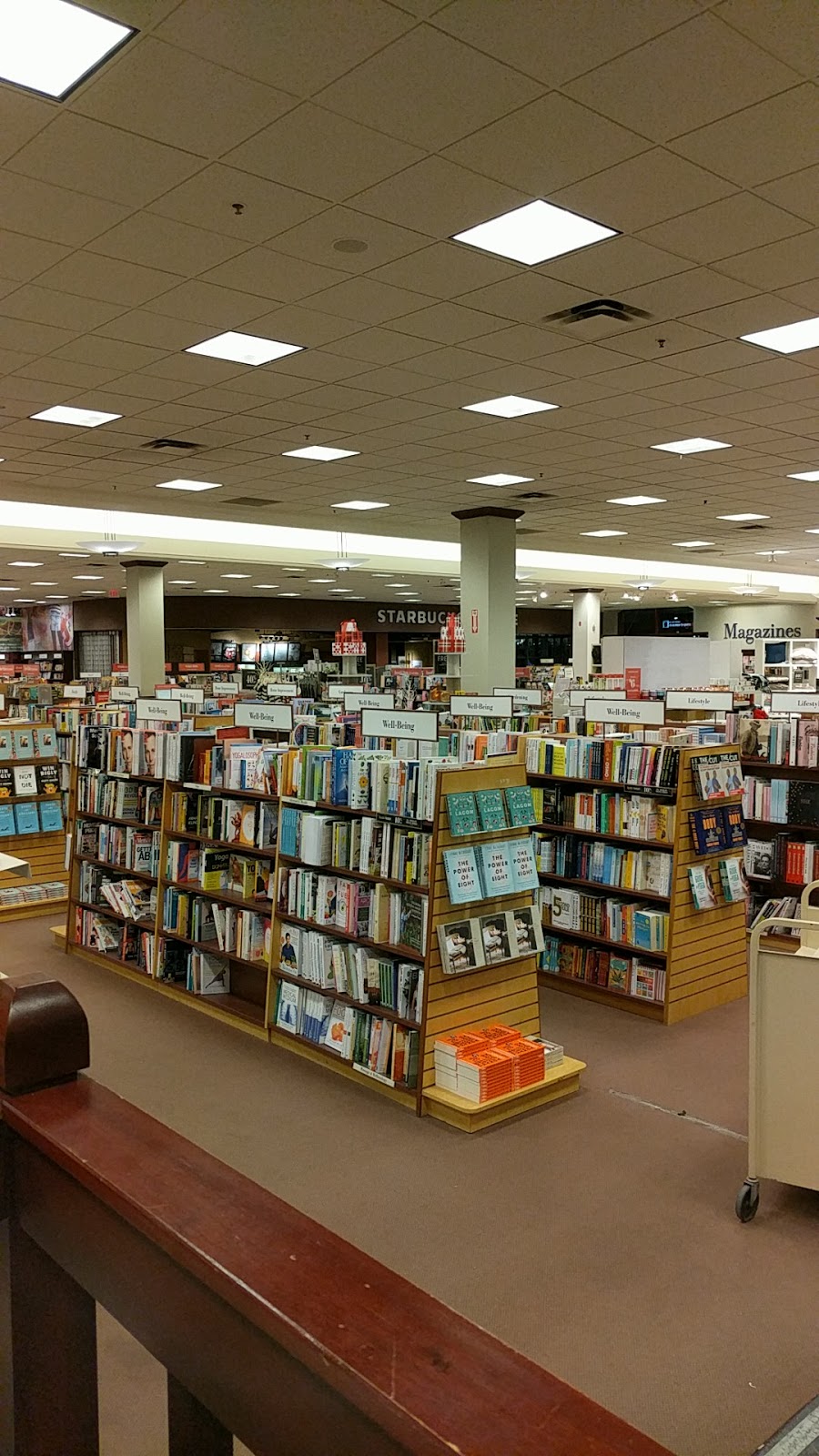 Chapters - Sudbury | 1425 Kingsway, Sudbury, ON P3B 2E7, Canada | Phone: (705) 525-5616