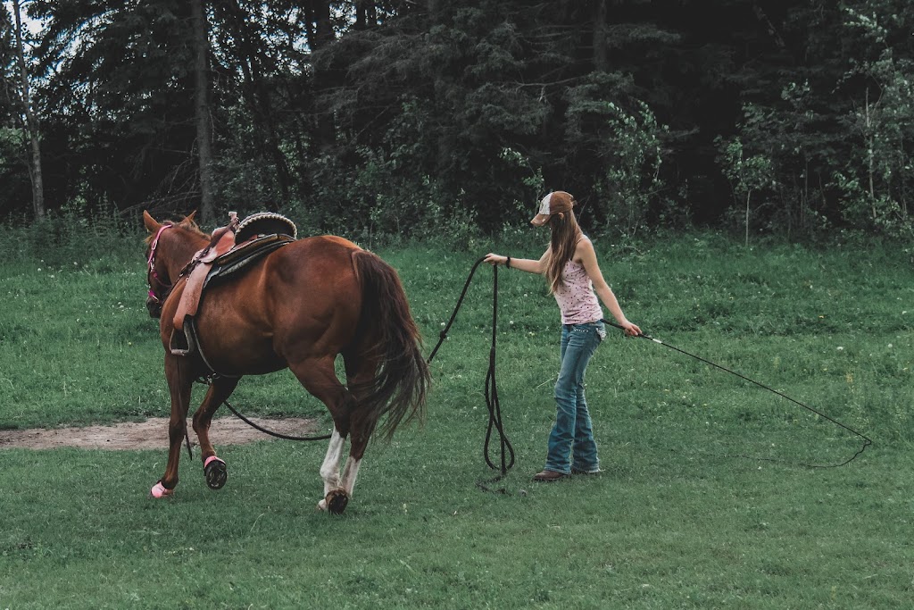 Aspen Ridge Farms | Unnamed Road, Weirdale, SK S0J 2Z0, Canada | Phone: (306) 941-9964
