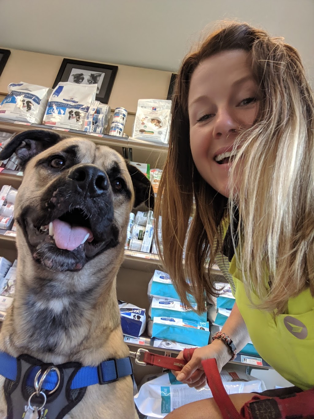 Aesops Veterinary Care | 260 St Annes Rd, Winnipeg, MB R2M 3A4, Canada | Phone: (204) 487-4744