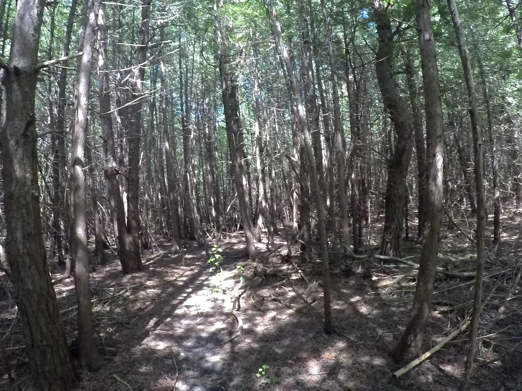 Uxbridge Rail Trail | Uxbridge, ON L9P 1C7, Canada
