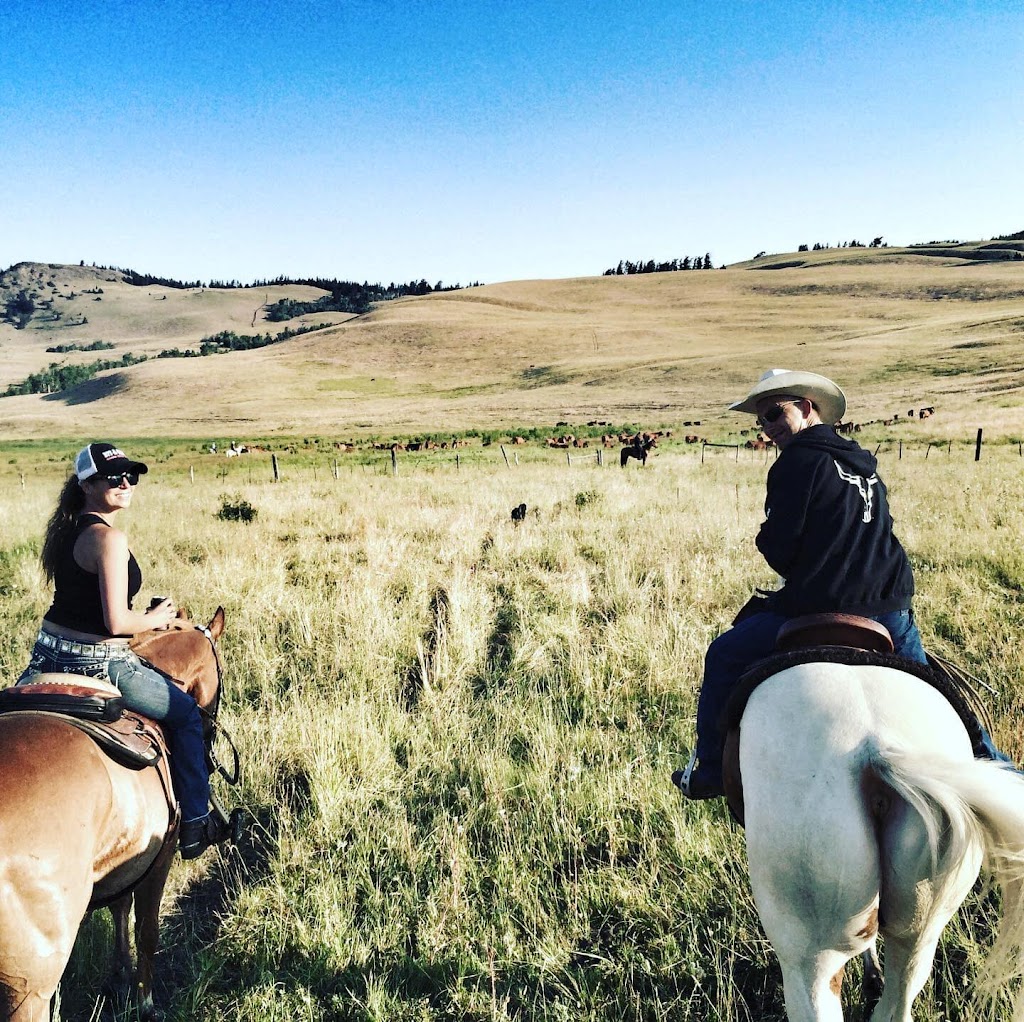 Valley West Stampede | 4303 208 Street, Langley Twp, BC V3A 3B1, Langley, BC V3A 8C8, Canada | Phone: (604) 621-3080