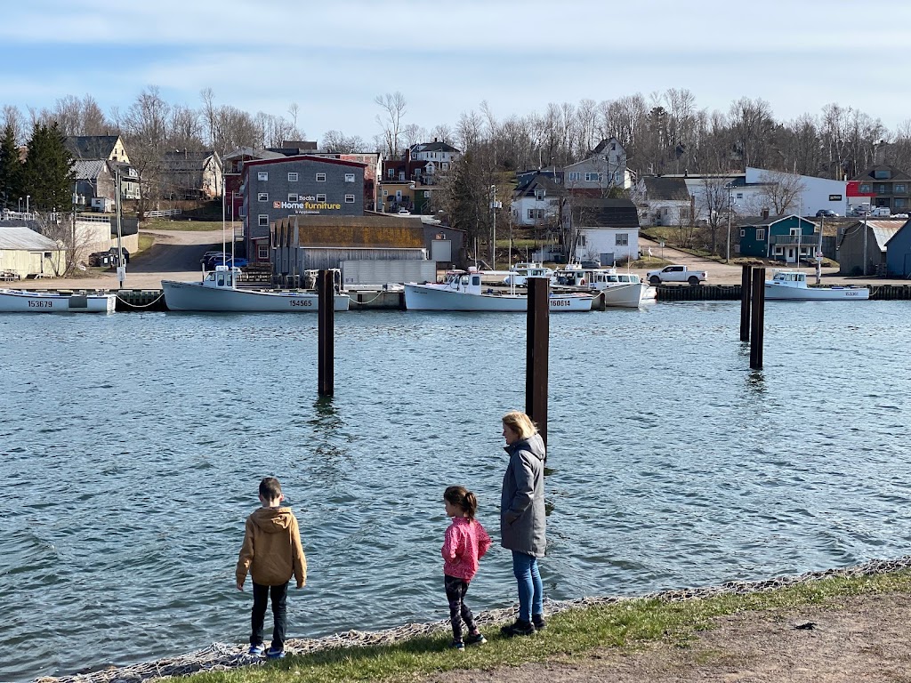 Confederation Trail, Brudenell | Cardigan, PE C0A 1G0, Canada | Phone: (989) 737-3709