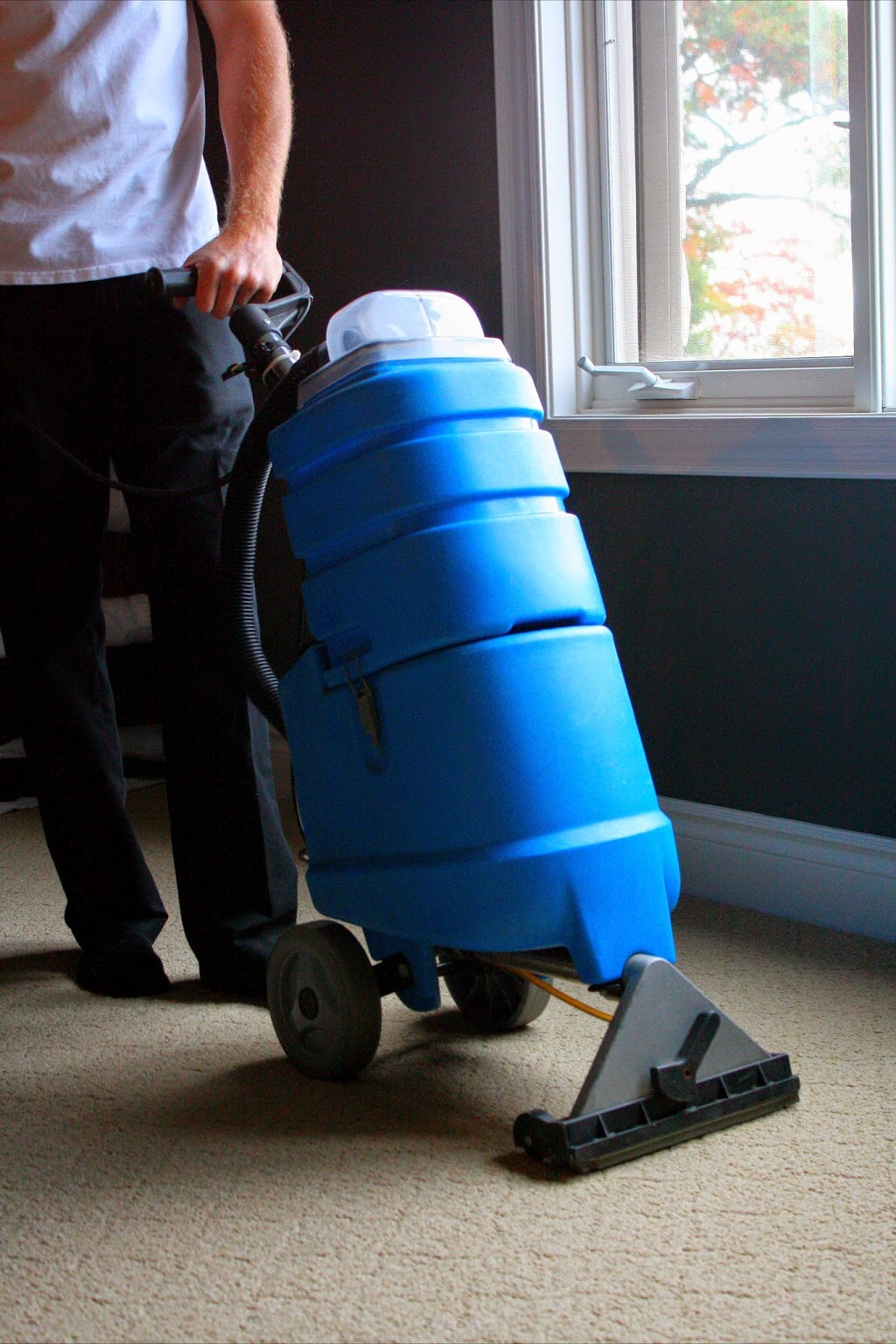 Adams Carpet Care | 11 Cardiff Ln, Stoney Creek, ON L8E 6G1, Canada | Phone: (905) 518-4499