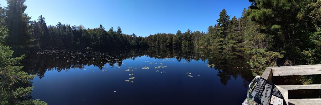 Parc écoforestier de Johnville | 3999 Chemin North, Cookshire-Eaton, QC J0B 1M0, Canada | Phone: (819) 566-5600