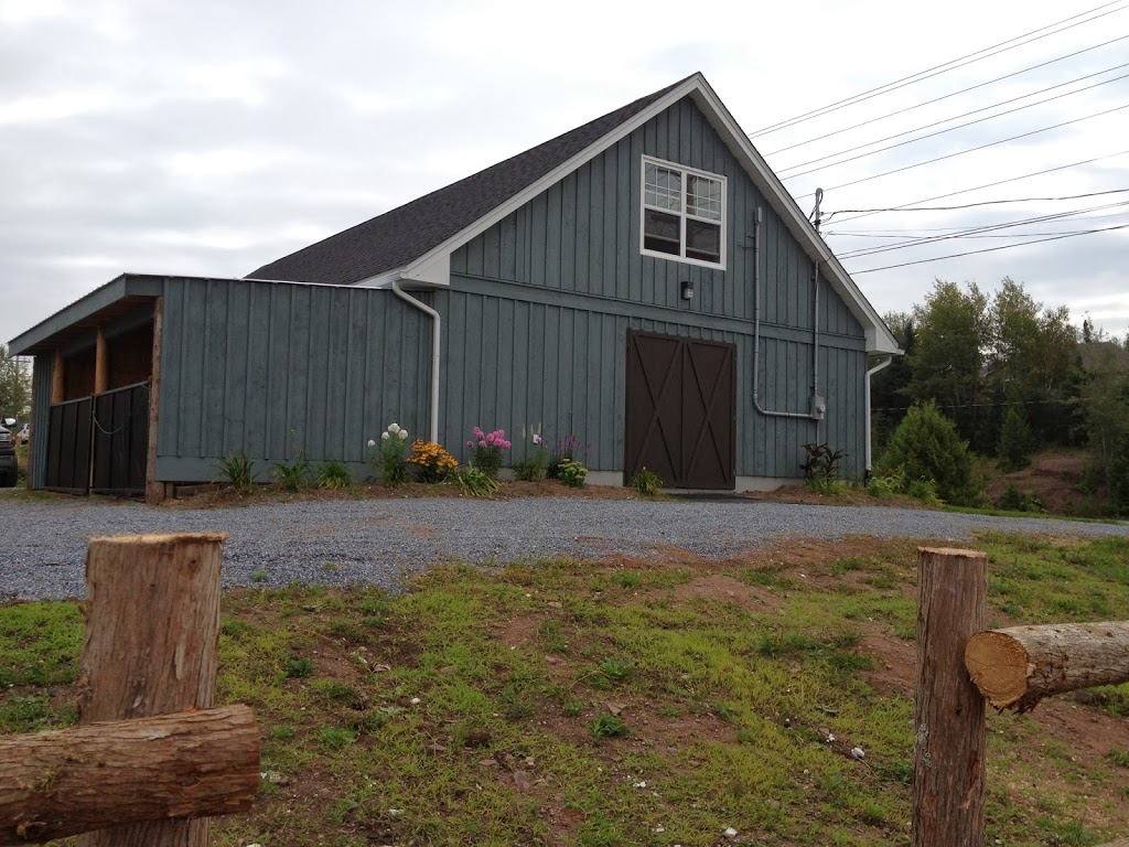 Dickinson & Baird Veterinary Hospital | 141 William Bell Dr, Hampton, NB E5N 6B4, Canada | Phone: (506) 832-3192