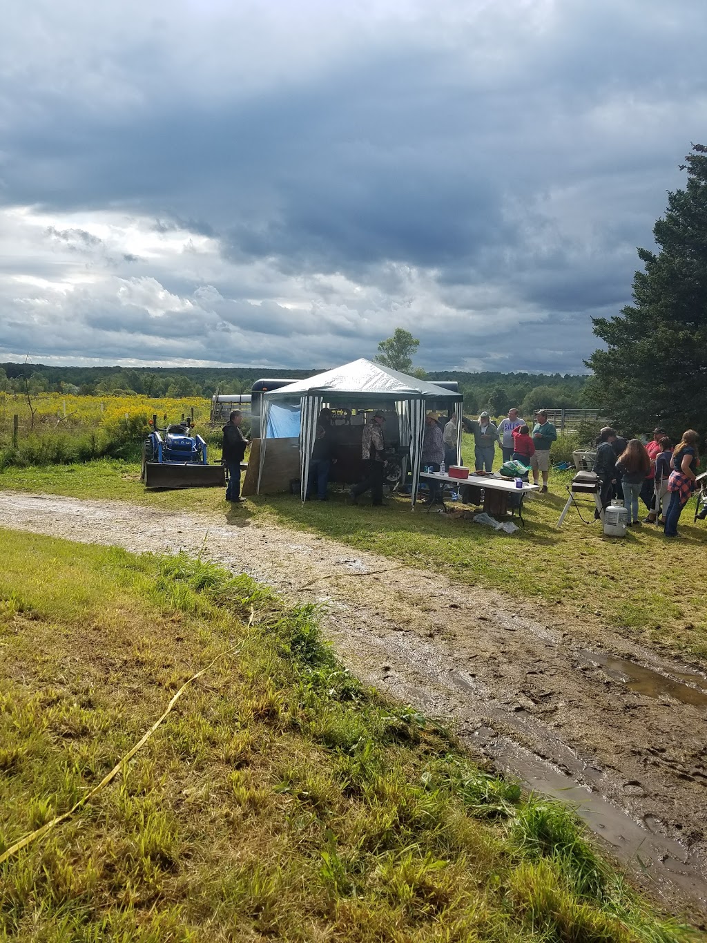 Windy Pines Farm | 10379 Crump Rd, Holland, NY 14080, USA | Phone: (716) 560-6116