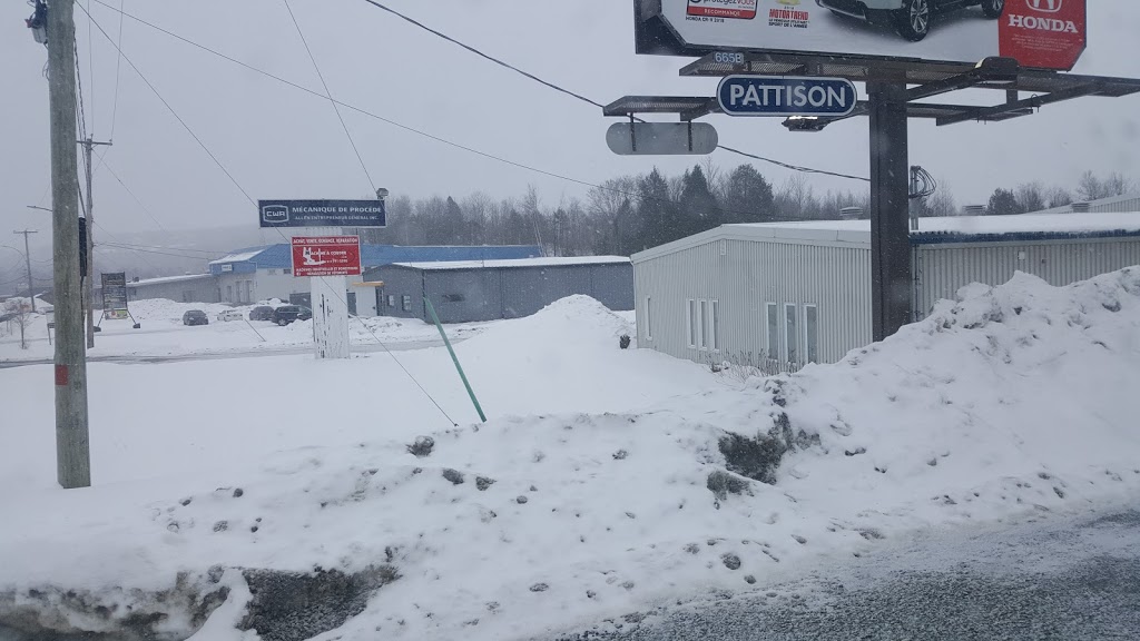 Machine A Coudre De LEstrie Inc | 1080 Rue Galt E, Sherbrooke, QC J1G 1Y5, Canada | Phone: (819) 791-2590