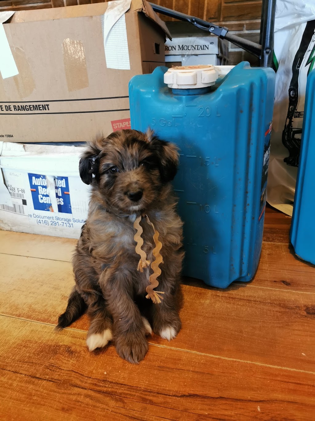 Doodle Treasures | 23687 Weirs Sideroad, Pefferlaw, ON L0E 1N0, Canada | Phone: (705) 437-2790