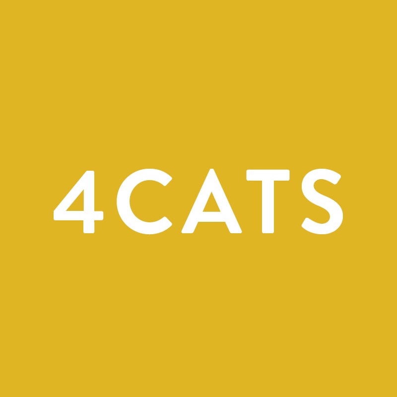4Cats Arts Studio (West Vancouver) | 1730 Marine Dr, West Vancouver, BC V7V 1J3, Canada | Phone: (604) 922-4228