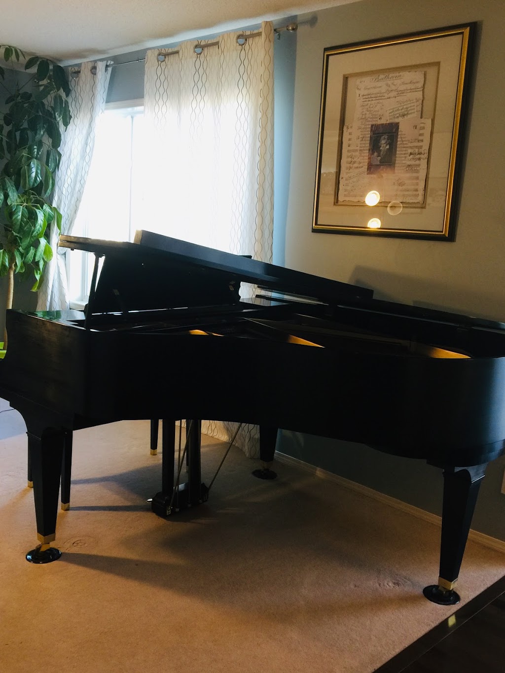 Jade Lee Piano | 9 Coventry Hills Dr NE, Calgary, AB T3K 5W2, Canada | Phone: (403) 399-3384
