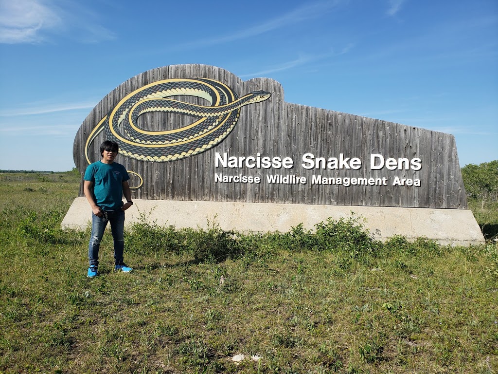 Narcisse Snake Dens | MB-17, Narcisse, MB R0C 2H0, Canada | Phone: (204) 945-3744