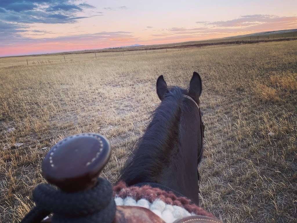 3R Horsemanship | Twp Rd 4-0 175045, Warner, AB T0K 2L0, Canada | Phone: (403) 795-2842