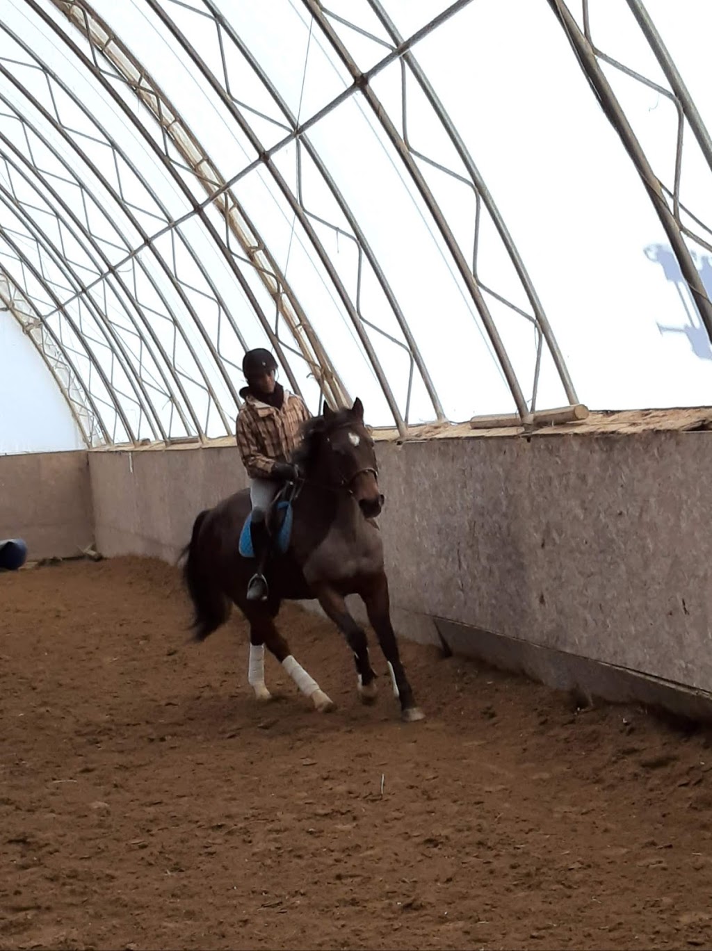 Équitation CG | 3808 Chemin de la Côte-Bissonnette, Varennes, QC J3X 1P7, Canada | Phone: (514) 941-9214