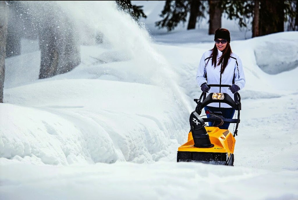 Xclusive Small Engines | 185 Talbot St E, Leamington, ON N8H 3X6, Canada | Phone: (519) 997-7077