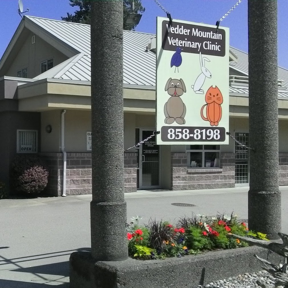 Vedder Mountain Veterinary Clinic | 5434 Vedder Rd, Chilliwack, BC V2R 3M4, Canada | Phone: (604) 858-8198