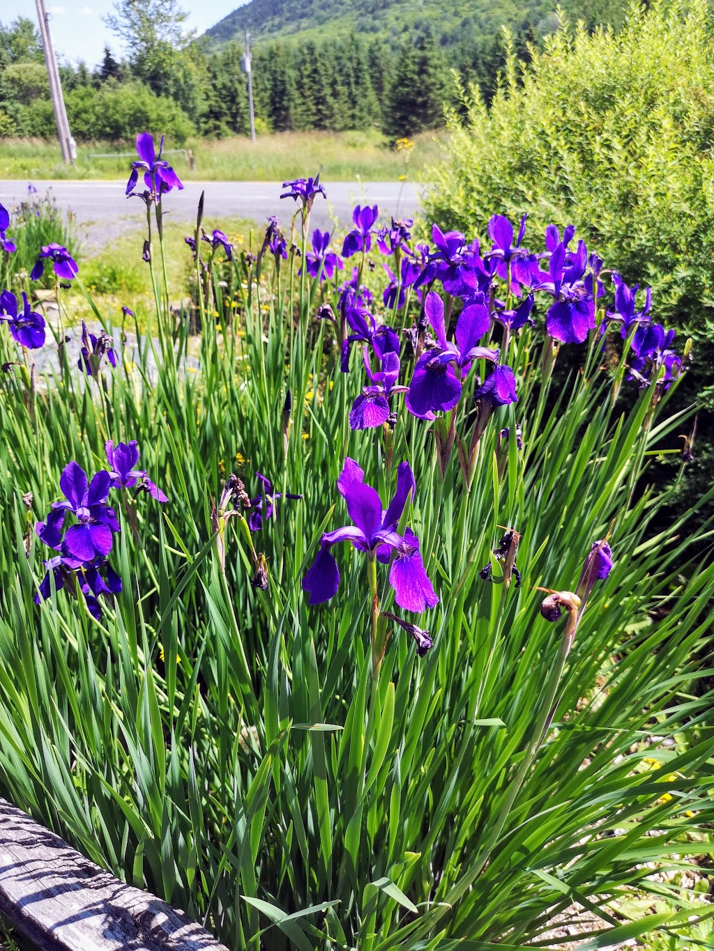 Yourte au Domaine Ô Naturel | 11 Chemin du Morne, Saint-Léon-de-Standon, QC G0R 4L0, Canada | Phone: (418) 570-4040