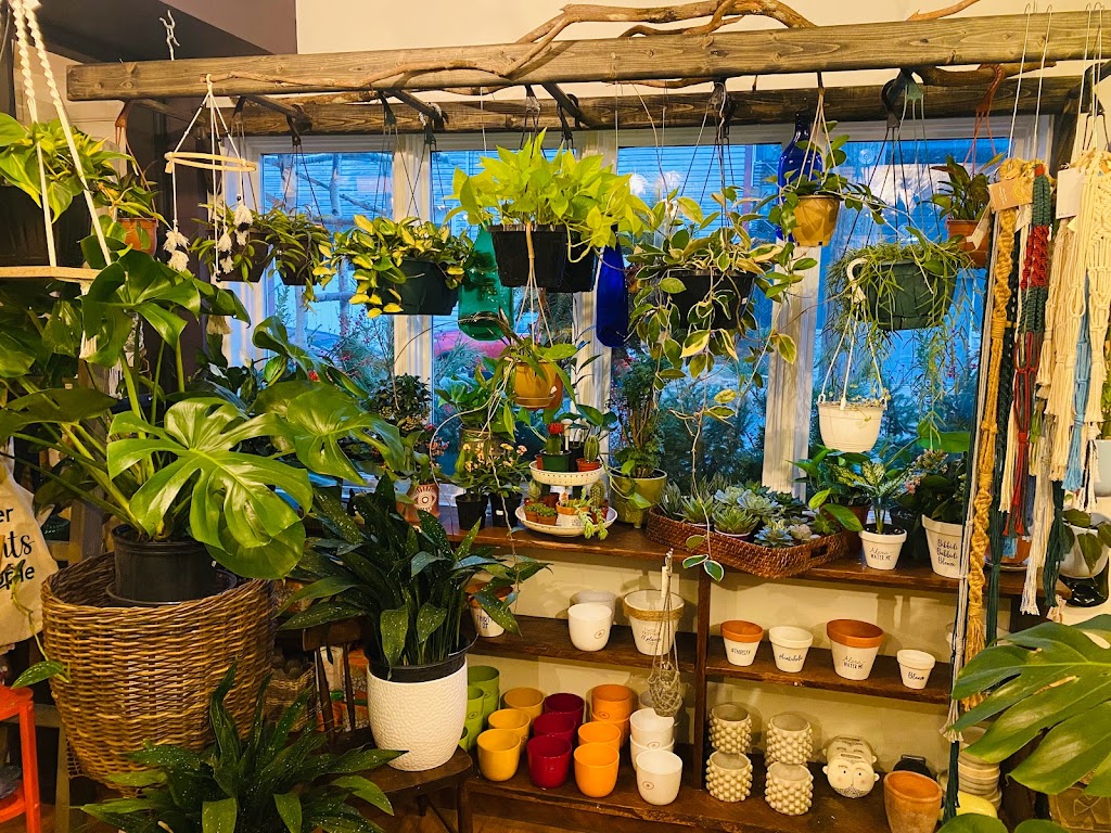 Fayes Wildflowers | 10 Pelham St, Lunenburg, NS B0J 2C0, Canada | Phone: (902) 634-8421