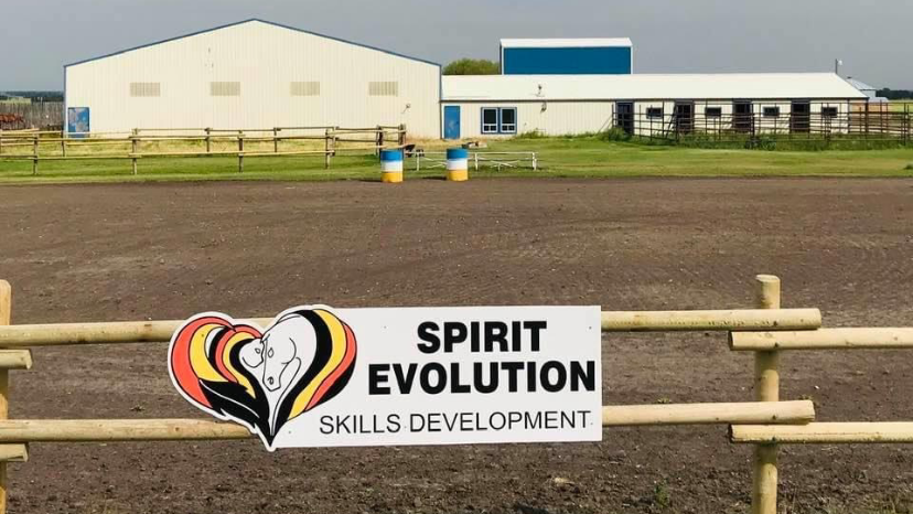 Mane Attraction Stables | 32277, Range Rd 13, Olds, AB T4H 1T8, Canada | Phone: (403) 990-0786