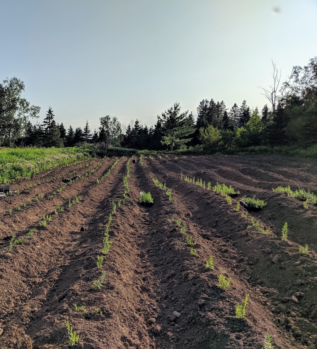 Untamed Grange | 2147 Northwest Road, Trout Brook, NB E9E 1N1, Canada | Phone: (506) 713-0463
