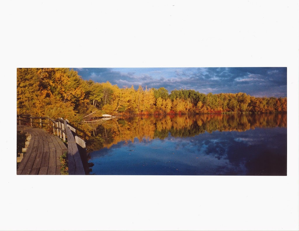 Town of Innisfail, Town Office | 4943 53 St, Innisfail, AB T4G 1A1, Canada | Phone: (403) 227-3376