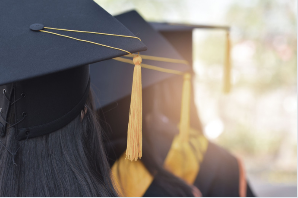 StudyIT-Educational Consultancy | 23 Cougar Cove N, Lethbridge, AB T1H 6H2, Canada | Phone: (403) 795-2219