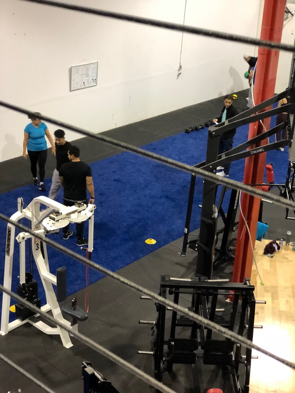 Athletic P​erformance Compl​ex Inc | 8841 George Bolton Pkwy, Bolton, ON L7E 2X8, Canada | Phone: (905) 857-1131