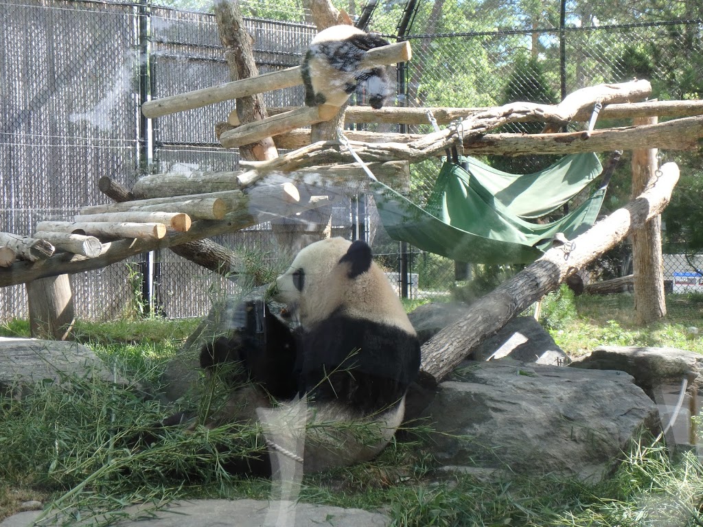 Toronto Zoo Foundation | 361A Old Finch Ave, Scarborough, ON M1B 5K7, Canada | Phone: (416) 392-9113