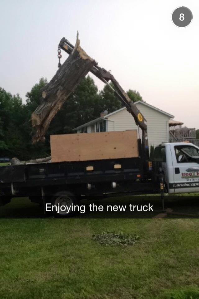 Beckett Tree Service | 318754, Grey Rd 1, Owen Sound, ON N4K 5N4, Canada | Phone: (519) 375-6274