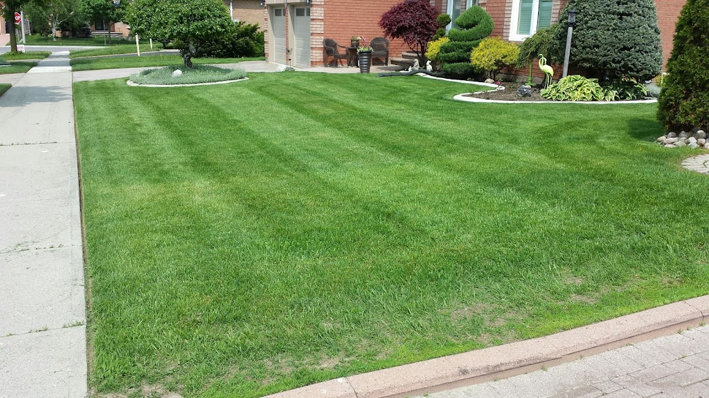 Bro Crete & Landscaping LTD. | 2205 King St, Cheltenham, ON L7C 0S7, Canada | Phone: (647) 606-4882