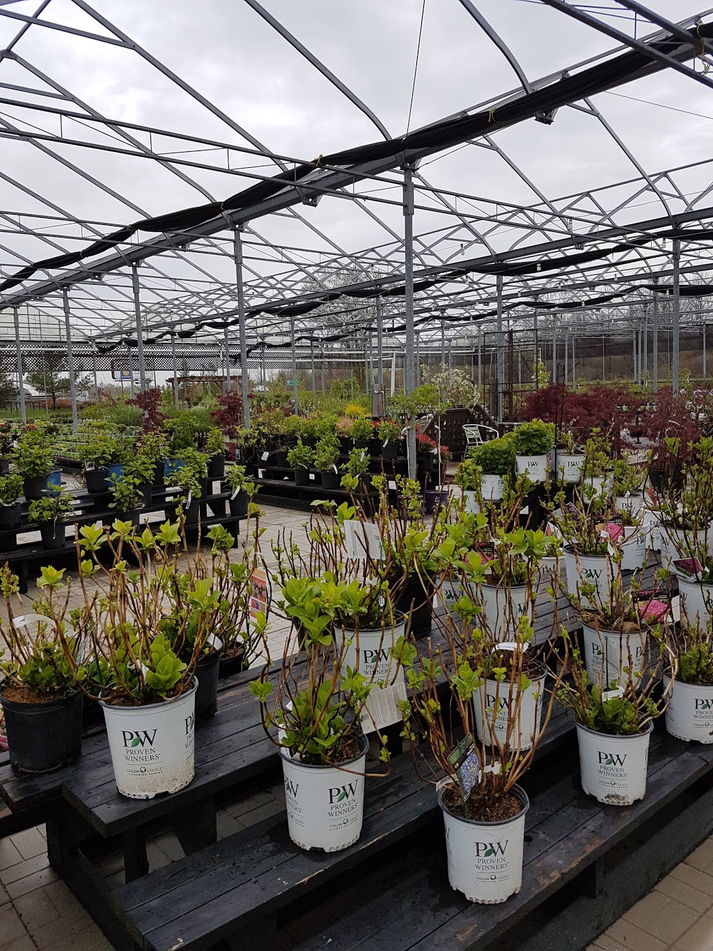 Country Basket Garden Centre & Flower Boutique | 10008 Lundys Ln, Niagara Falls, ON L2H 0T6, Canada | Phone: (905) 358-5811