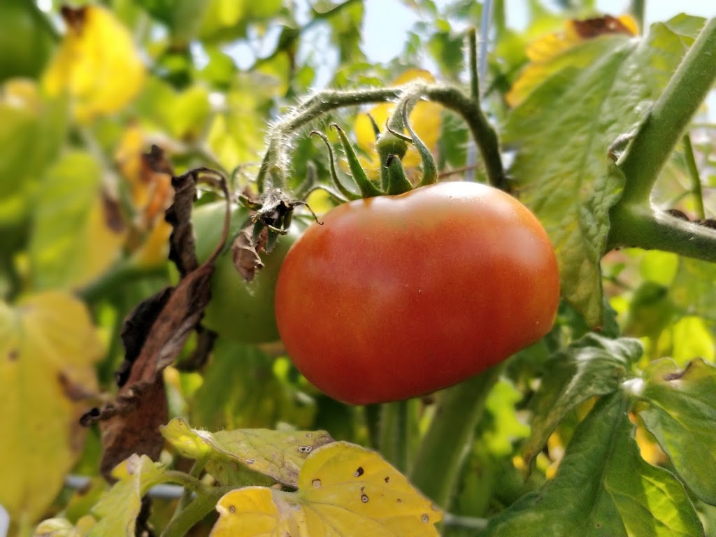 Terra Nova Rural Park Farm Center | 2631 Westminster Hwy, Richmond, BC V7C 1A1, Canada