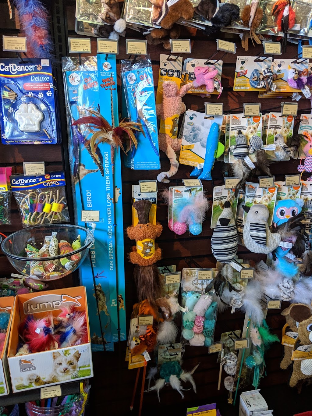 Pet Valu | 54 Silver Fox Ave, New Minas, NS B4N 0E4, Canada | Phone: (902) 681-2866