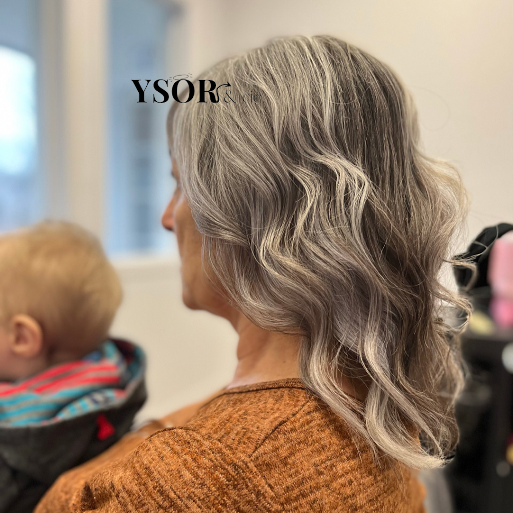 Ysor & cie. | 535 Bd Laurier O, Sainte-Madeleine, QC J0H 1S0, Canada | Phone: (450) 501-7628