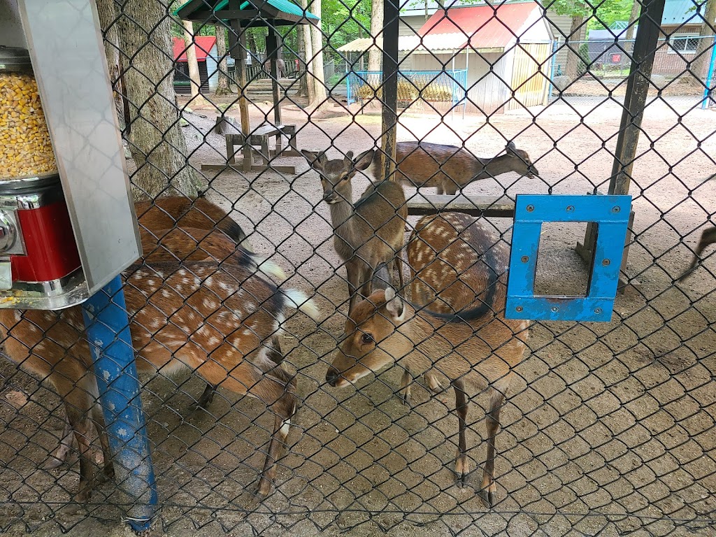 Story Book Park | 123221 Story Book Park Rd, Owen Sound, ON N4K 5N8, Canada | Phone: (519) 376-2291